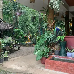 Jungleview Homestay